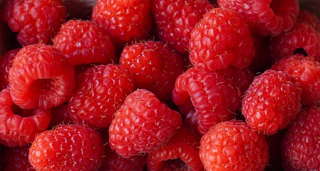 raspberries, berries, fruit-6570751.jpg